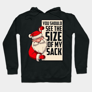 Funny-Adult-Humor Hoodie